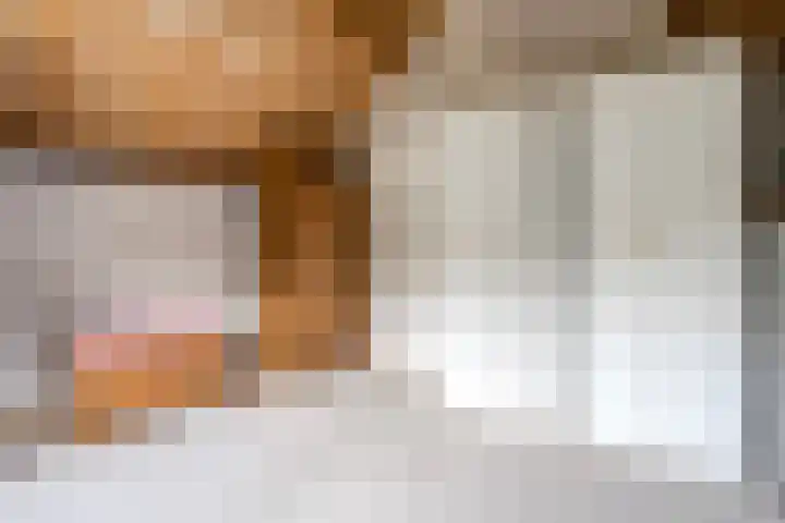 Fazantenbosweg 4 A Dalfsen thumbnail 41