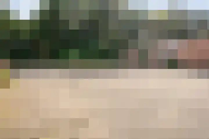 Fazantenbosweg 4 A Dalfsen thumbnail 42