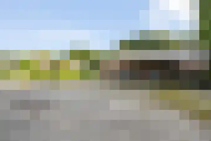 Fazantenbosweg 4 A Dalfsen thumbnail 43