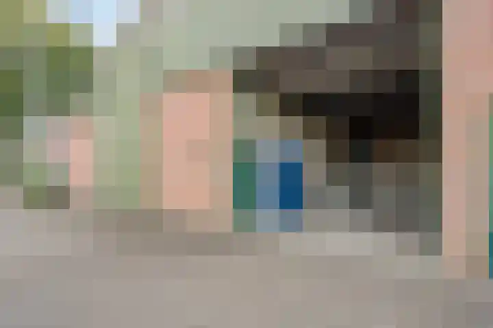 Fazantenbosweg 4 A Dalfsen thumbnail 44