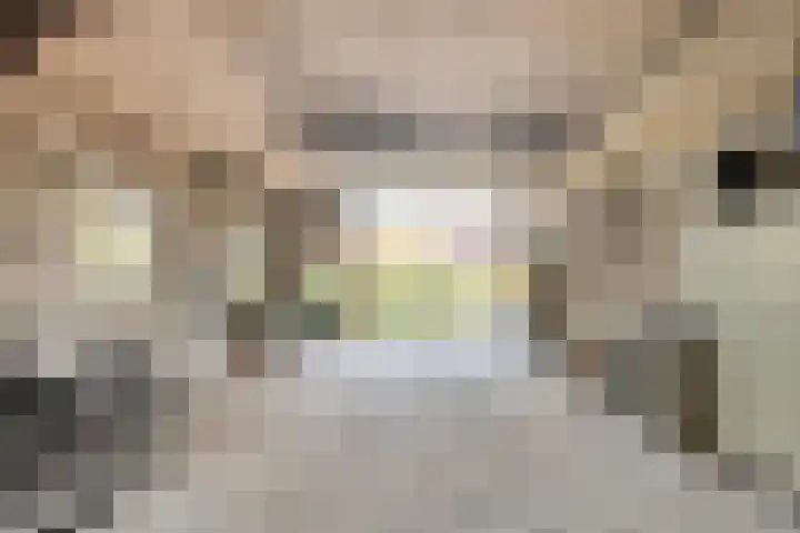 Fazantenbosweg 4 A Dalfsen thumbnail 46