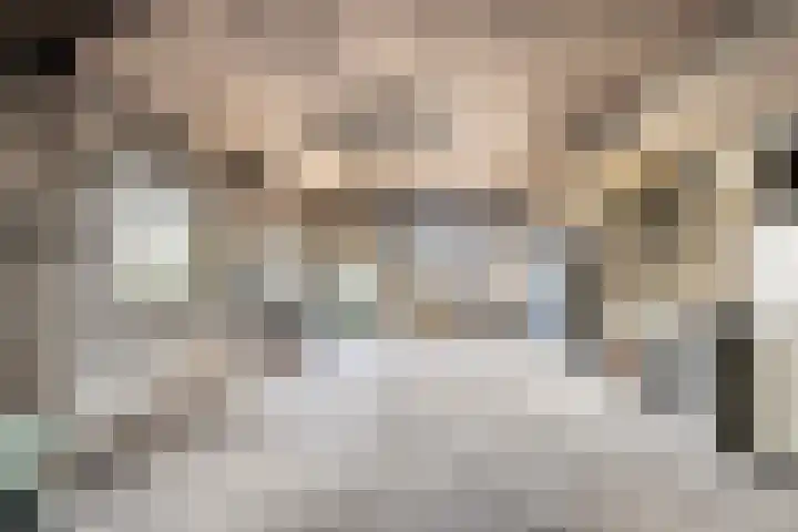 Fazantenbosweg 4 A Dalfsen thumbnail 48