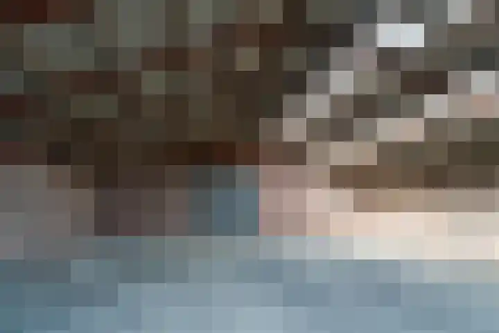 Fazantenbosweg 4 A Dalfsen thumbnail 49