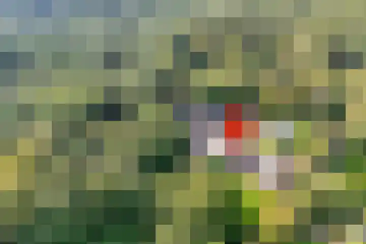 Fazantenbosweg 4 A Dalfsen thumbnail 5