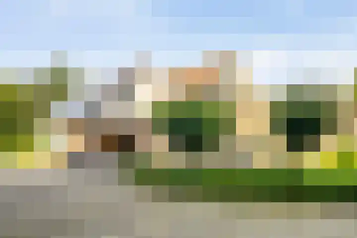Fazantenbosweg 4 A Dalfsen thumbnail 50