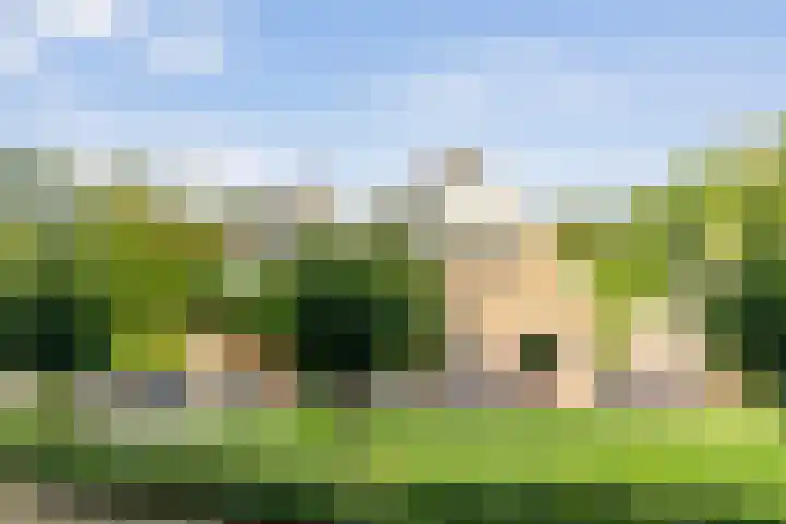 Fazantenbosweg 4 A Dalfsen thumbnail 51