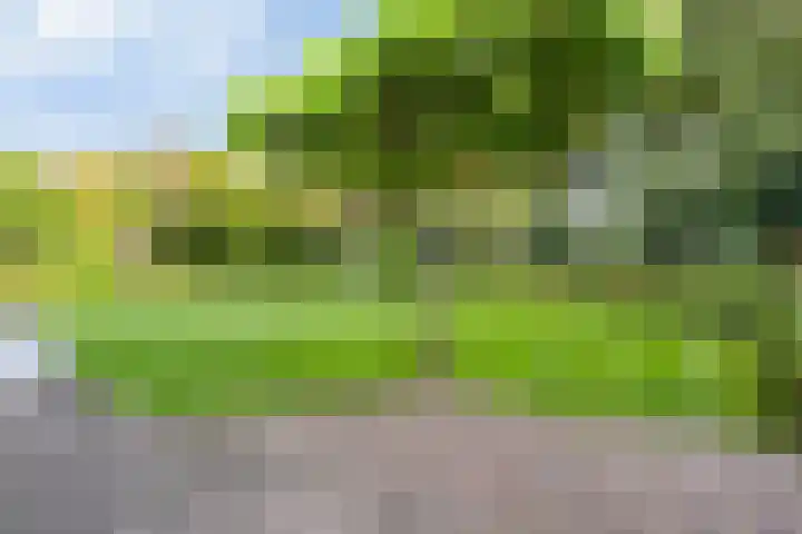Fazantenbosweg 4 A Dalfsen thumbnail 52