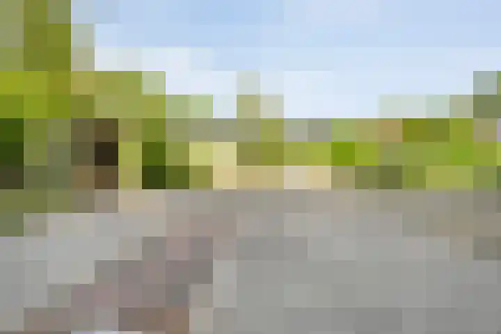 Fazantenbosweg 4 A Dalfsen thumbnail 53