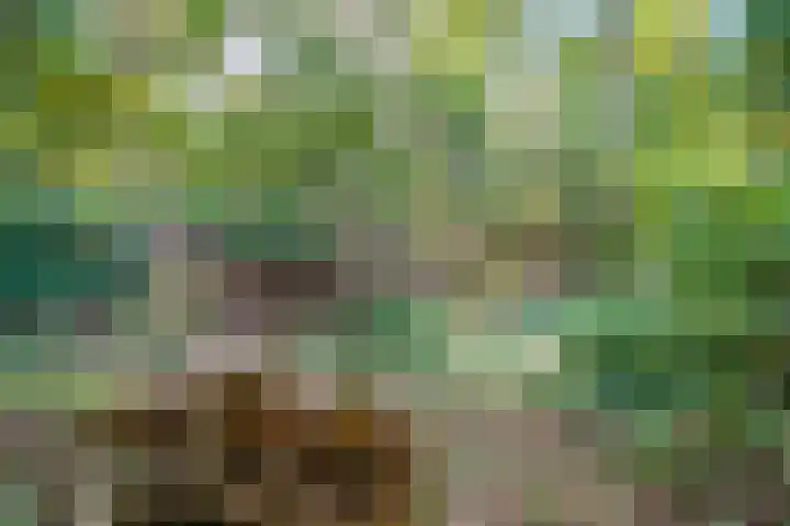 Fazantenbosweg 4 A Dalfsen thumbnail 54