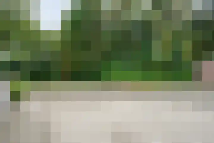 Fazantenbosweg 4 A Dalfsen thumbnail 55