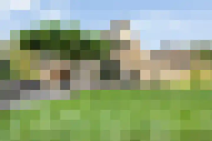 Fazantenbosweg 4 A Dalfsen thumbnail 56