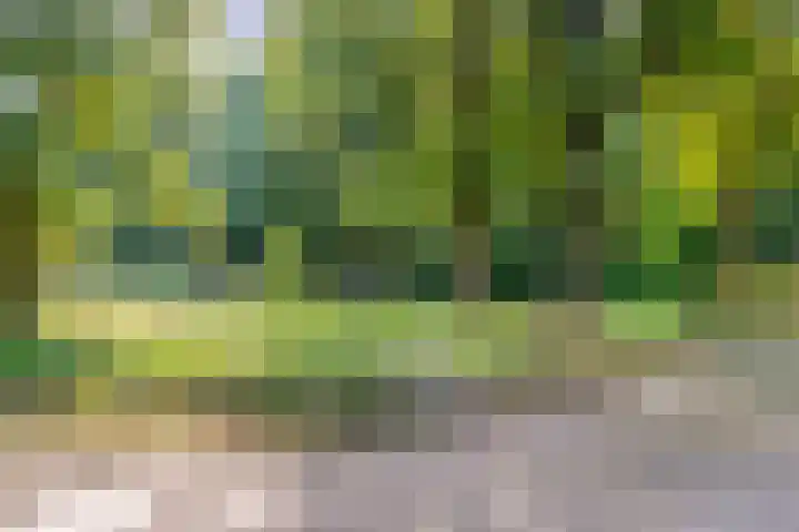 Fazantenbosweg 4 A Dalfsen thumbnail 57