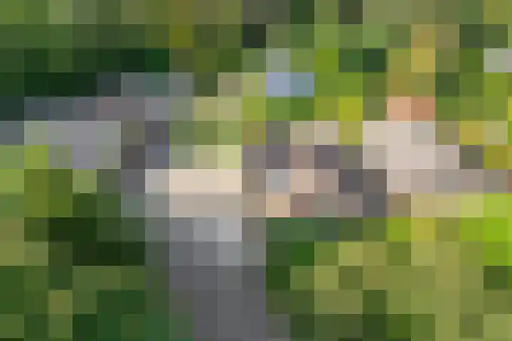 Fazantenbosweg 4 A Dalfsen thumbnail 59