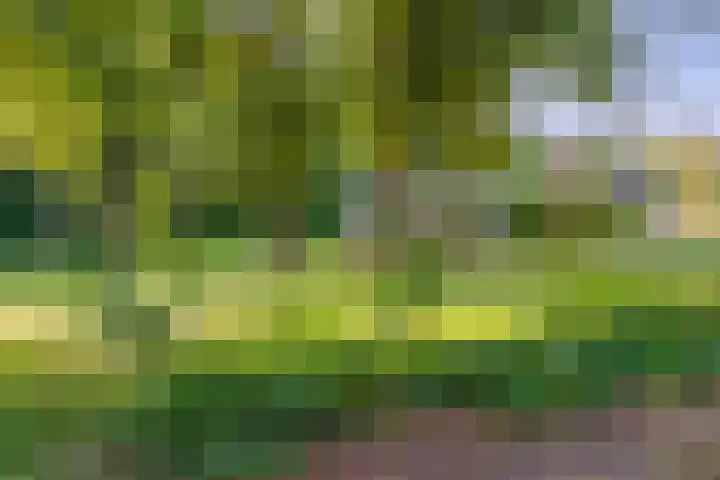 Fazantenbosweg 4 A Dalfsen thumbnail 7
