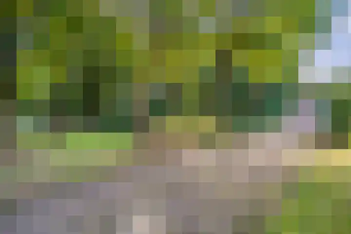 Fazantenbosweg 4 A Dalfsen thumbnail 8