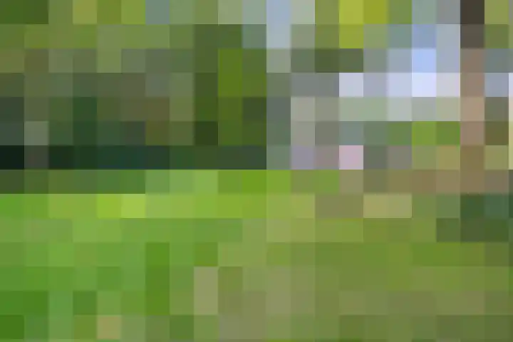 Fazantenbosweg 4 A Dalfsen thumbnail 9