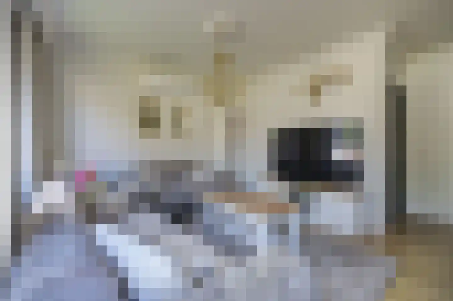 Fazantendonk 14 St. Willebrord thumbnail 13