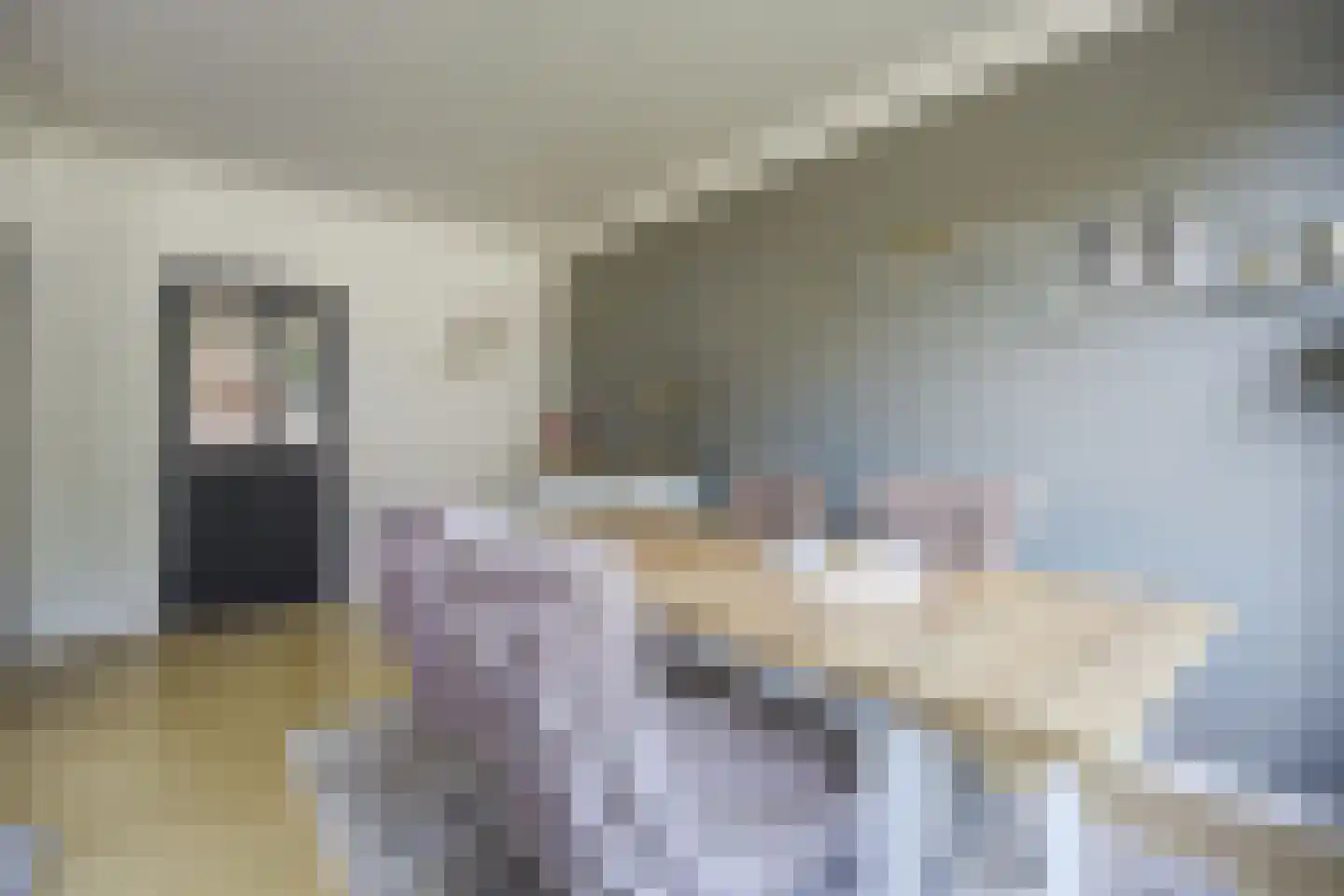 Fazantendonk 14 St. Willebrord thumbnail 14