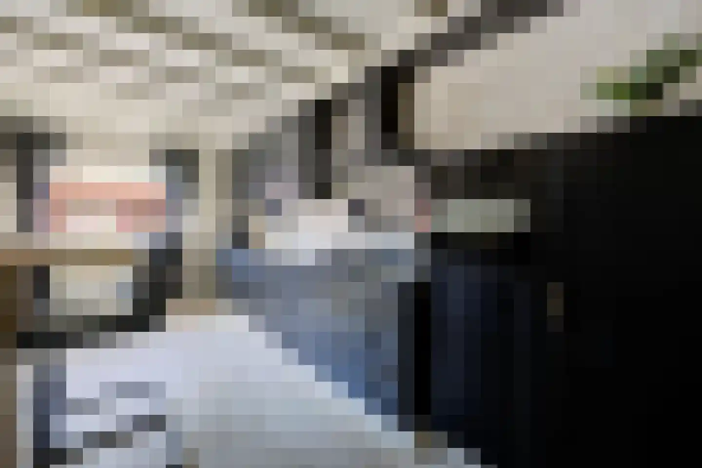 Fazantendonk 14 St. Willebrord thumbnail 16