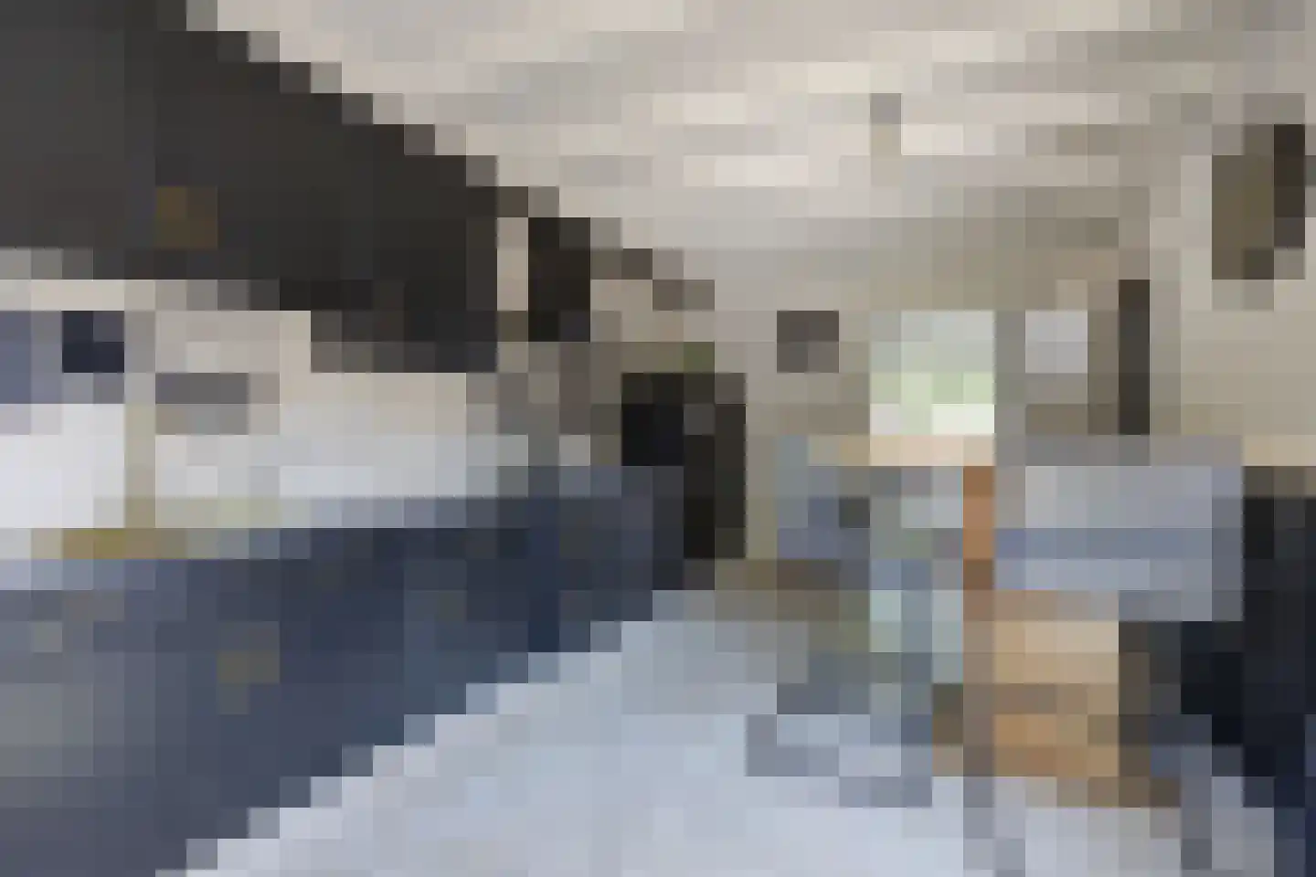 Fazantendonk 14 St. Willebrord thumbnail 17