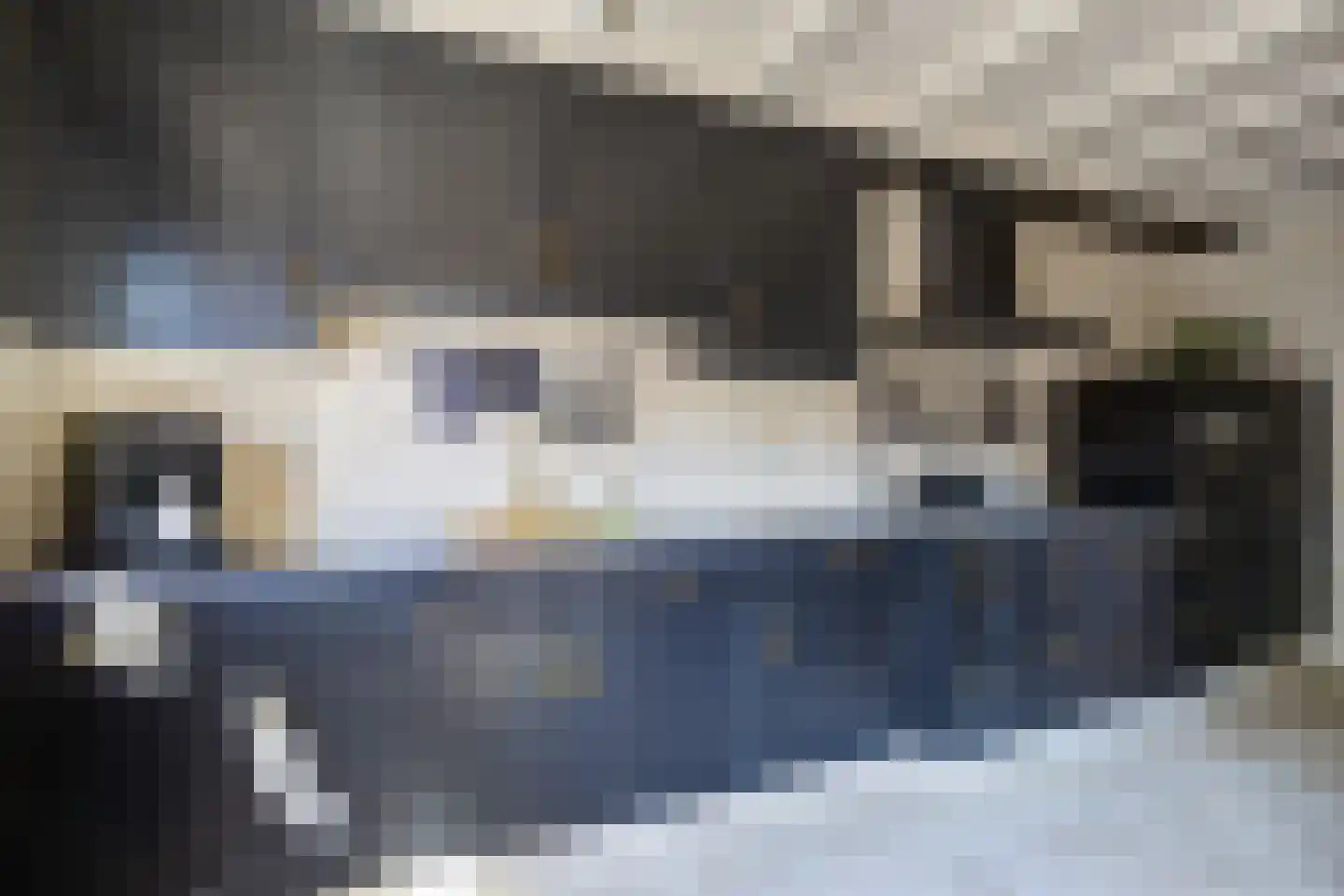 Fazantendonk 14 St. Willebrord thumbnail 18