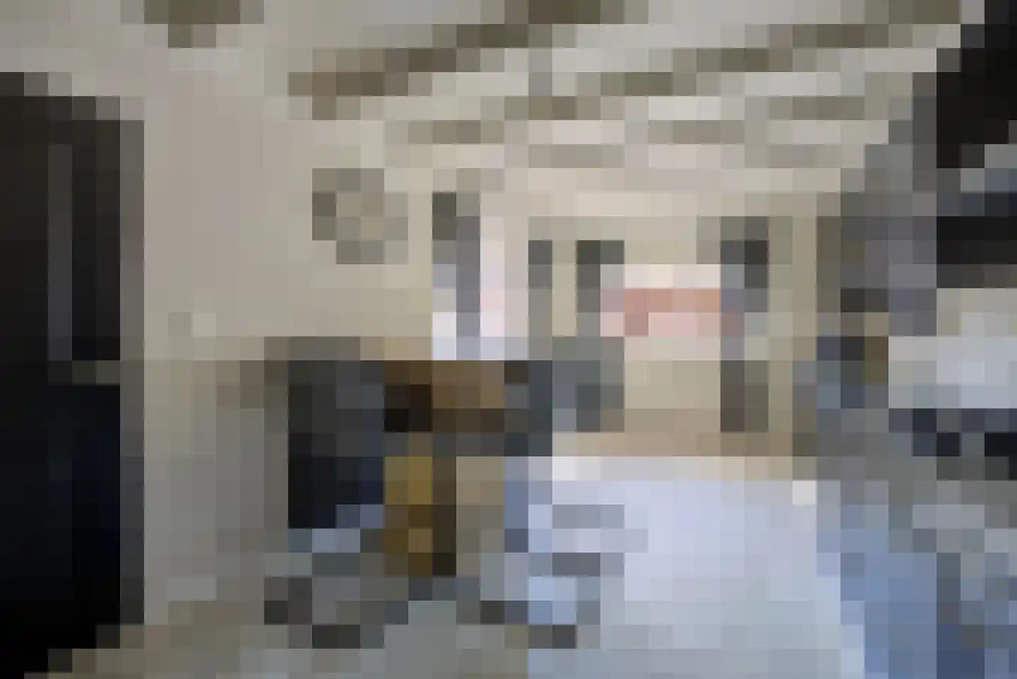 Fazantendonk 14 St. Willebrord thumbnail 19