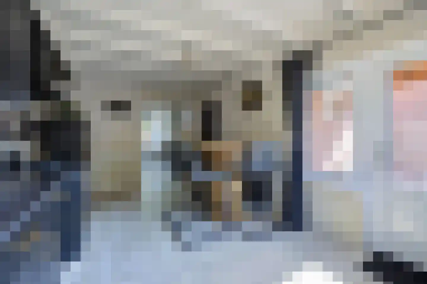 Fazantendonk 14 St. Willebrord thumbnail 20