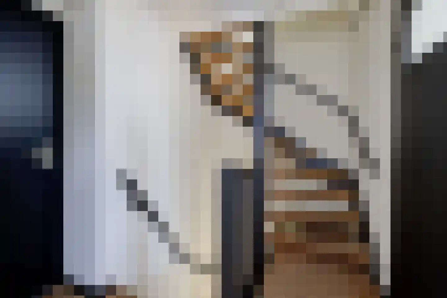 Fazantendonk 14 St. Willebrord thumbnail 22
