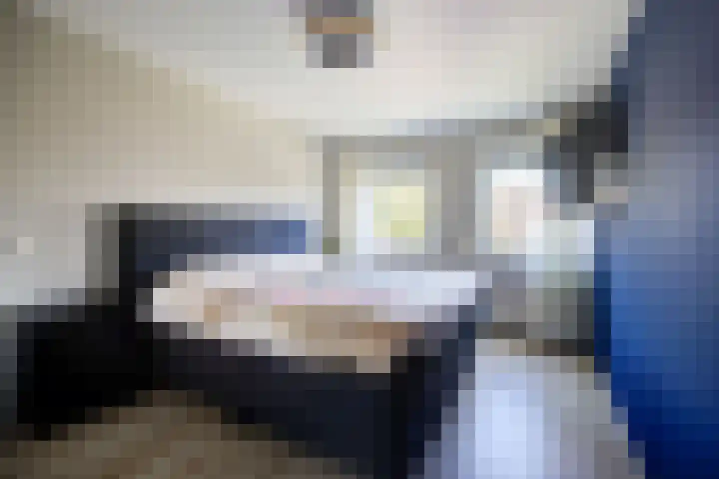 Fazantendonk 14 St. Willebrord thumbnail 24