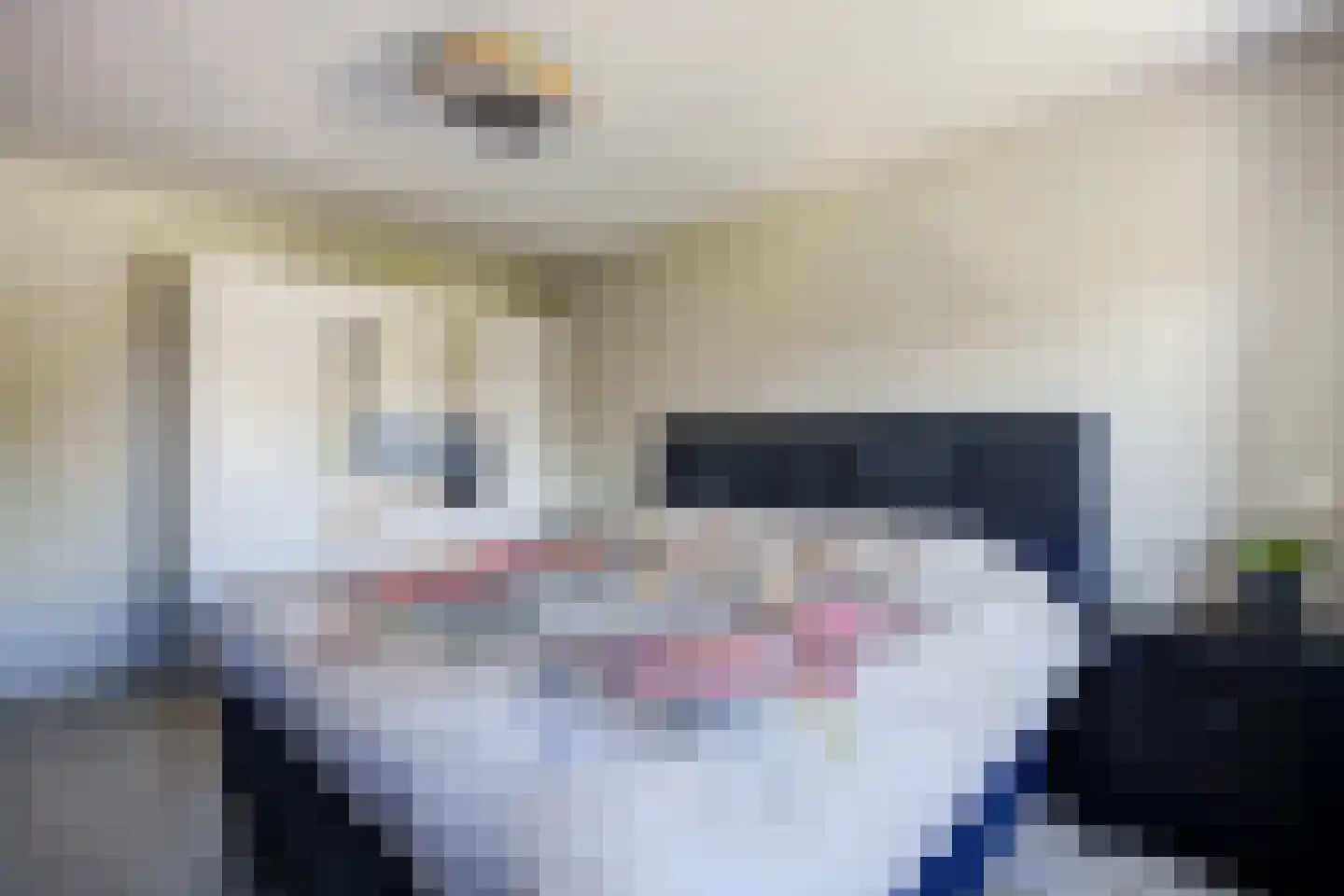 Fazantendonk 14 St. Willebrord thumbnail 26