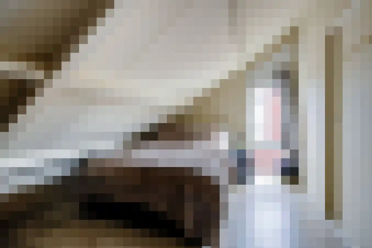 Fazantendonk 14 St. Willebrord thumbnail 35