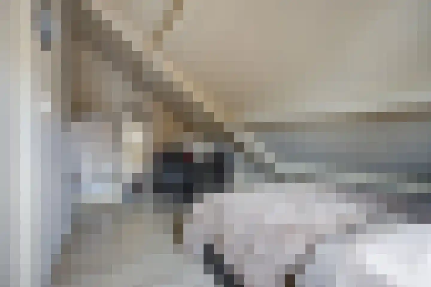 Fazantendonk 14 St. Willebrord thumbnail 36