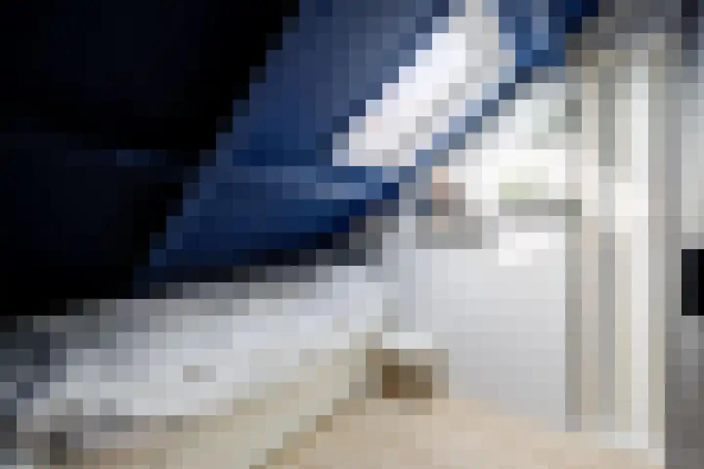 Fazantendonk 14 St. Willebrord thumbnail 37