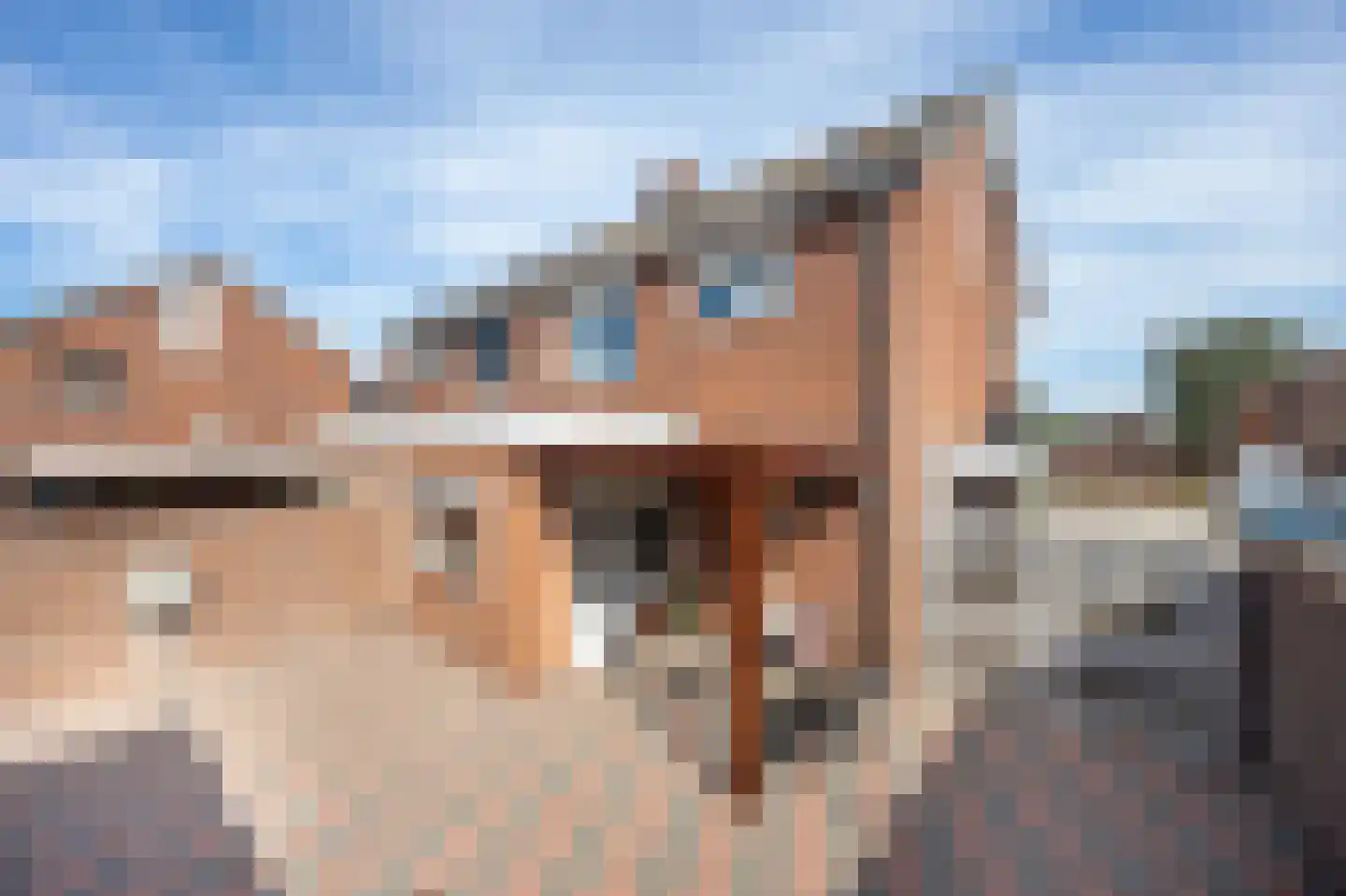 Fazantendonk 14 St. Willebrord thumbnail 41