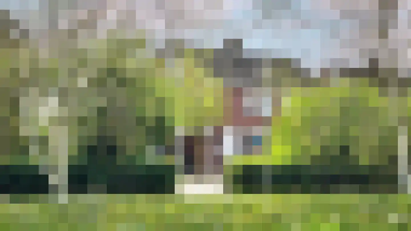 Fazantendonk 27 St. Willebrord thumbnail 18