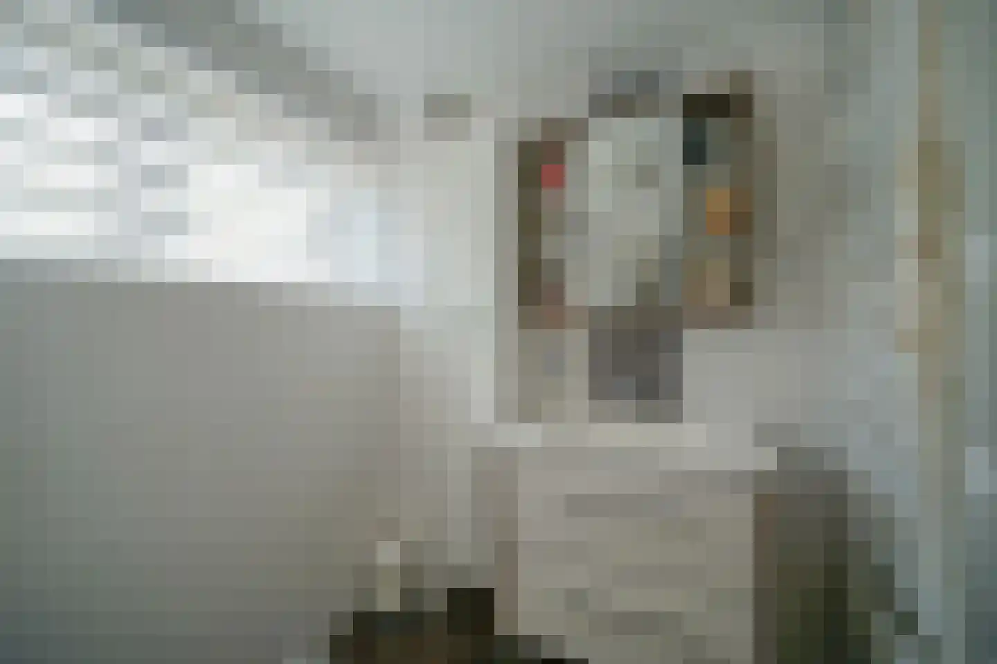 Fazantendonk 27 St. Willebrord thumbnail 32