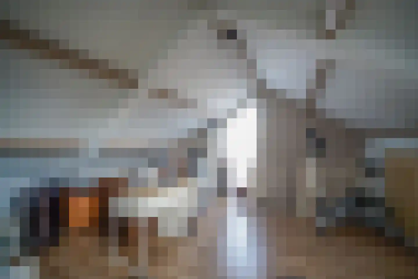 Fazantendonk 27 St. Willebrord thumbnail 37