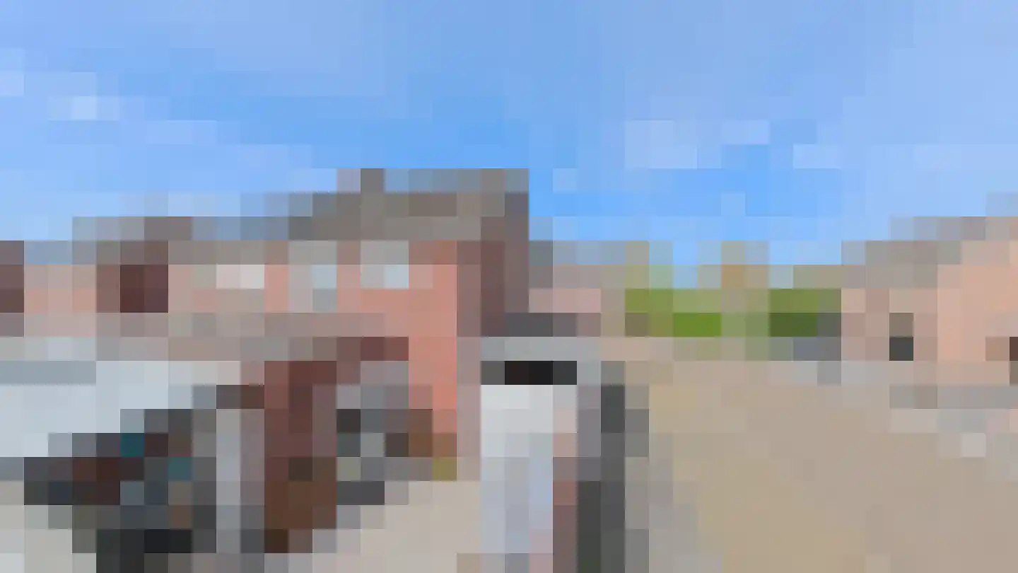 Fazantendonk 27 St. Willebrord thumbnail 45
