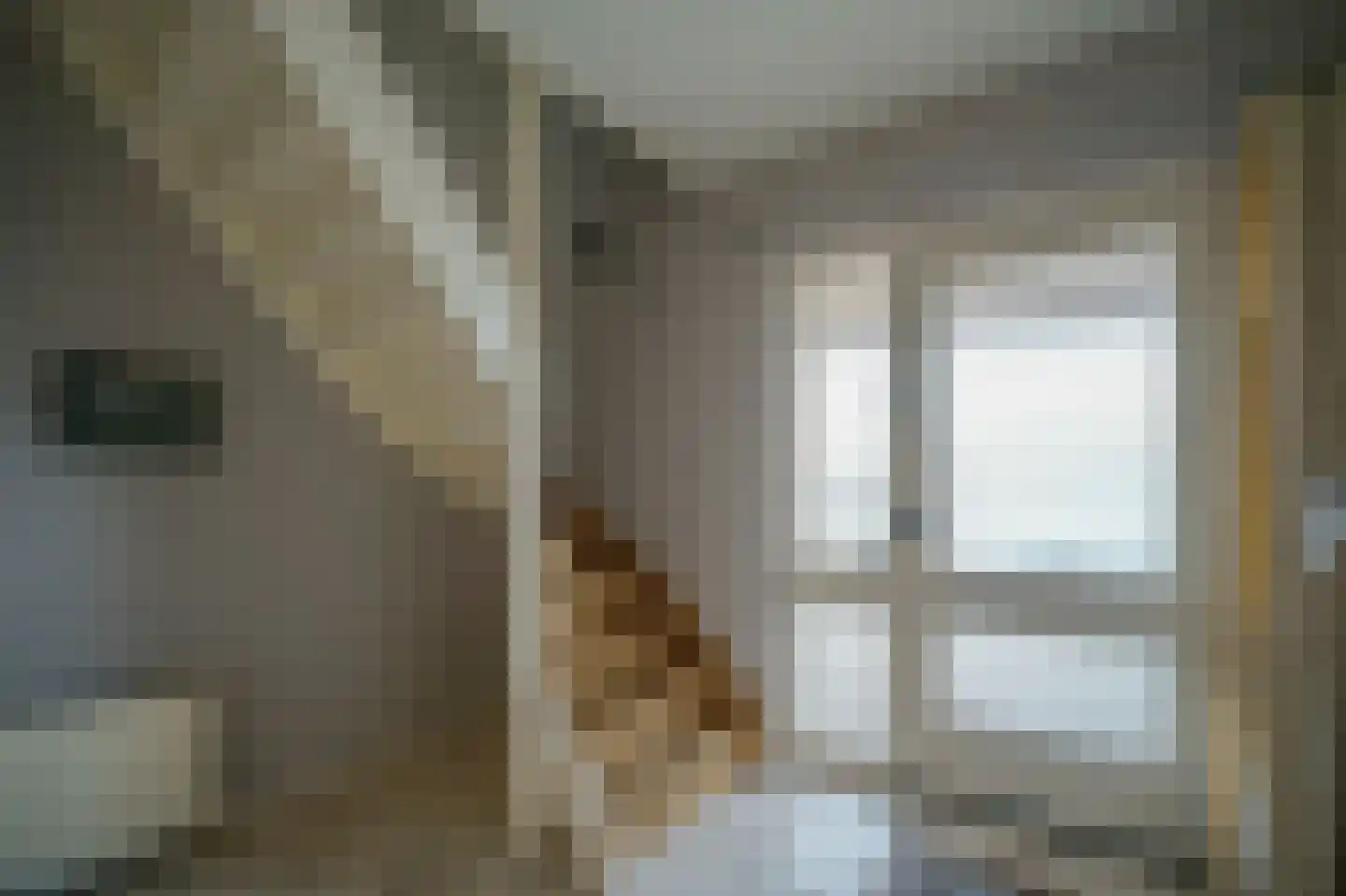 Fazantendonk 27 St. Willebrord thumbnail 47