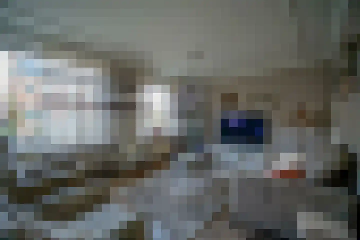 Fazantendonk 27 St. Willebrord thumbnail 48