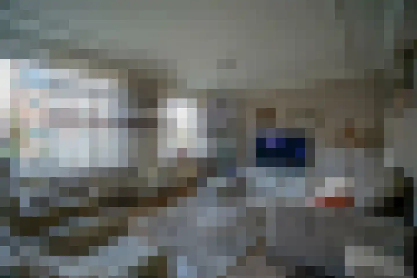 Fazantendonk 27 St. Willebrord thumbnail 5