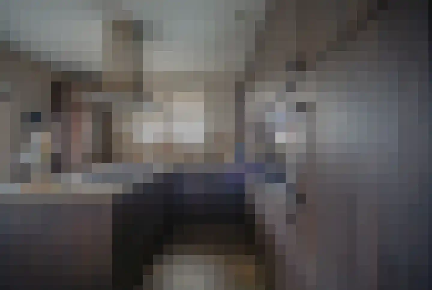Fazantendonk 27 St. Willebrord thumbnail 52