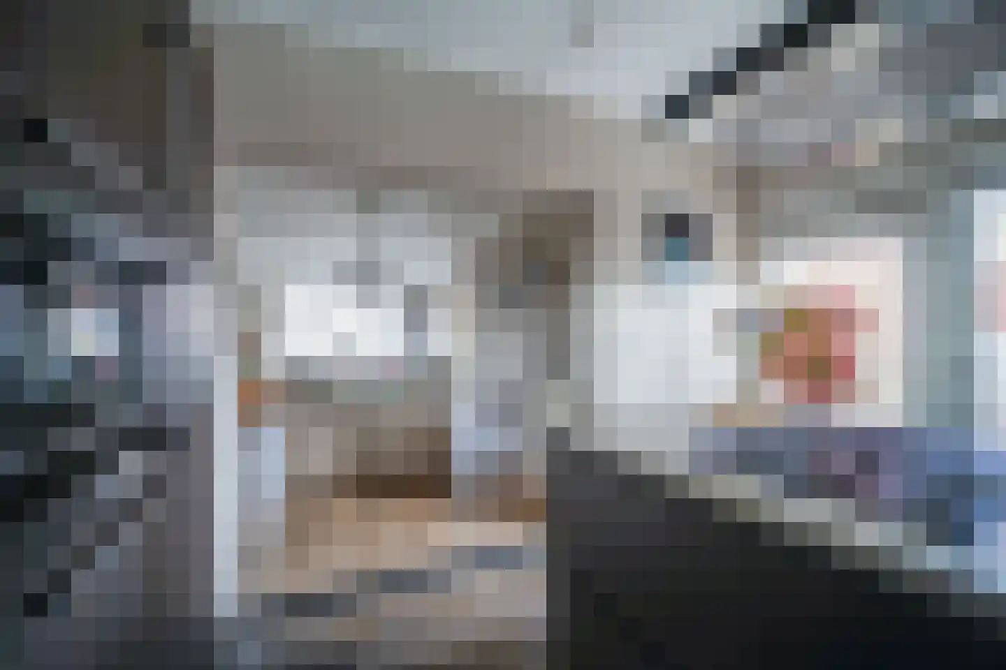 Fazantendonk 27 St. Willebrord thumbnail 56
