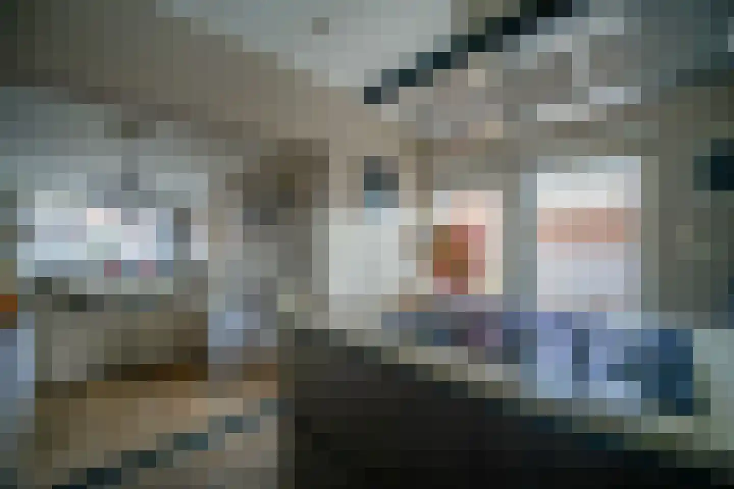 Fazantendonk 27 St. Willebrord thumbnail 57