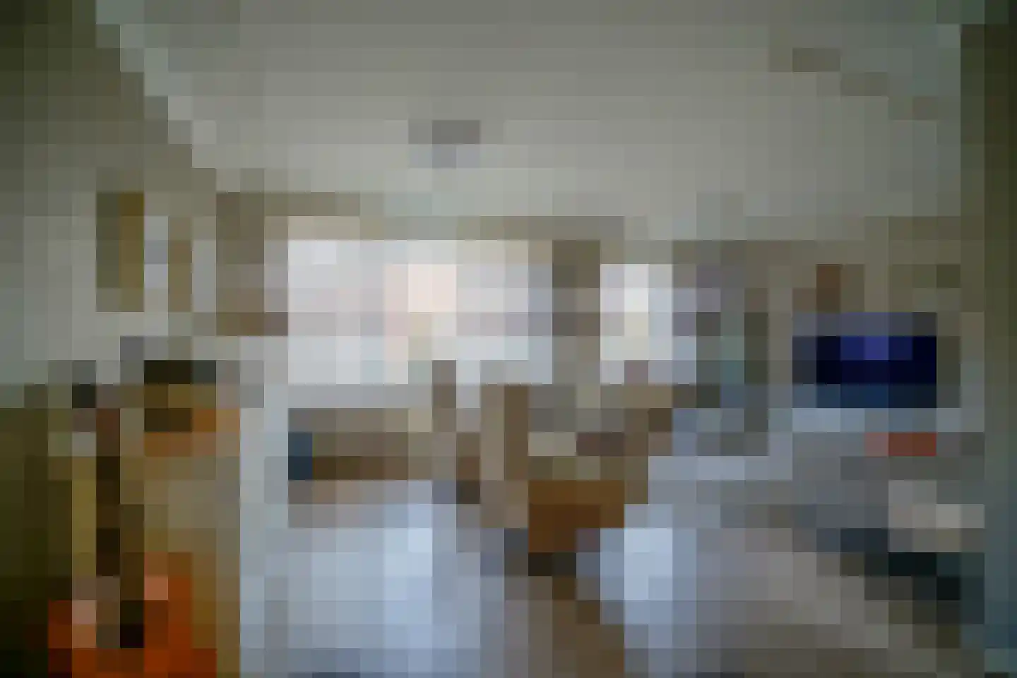 Fazantendonk 27 St. Willebrord thumbnail 6