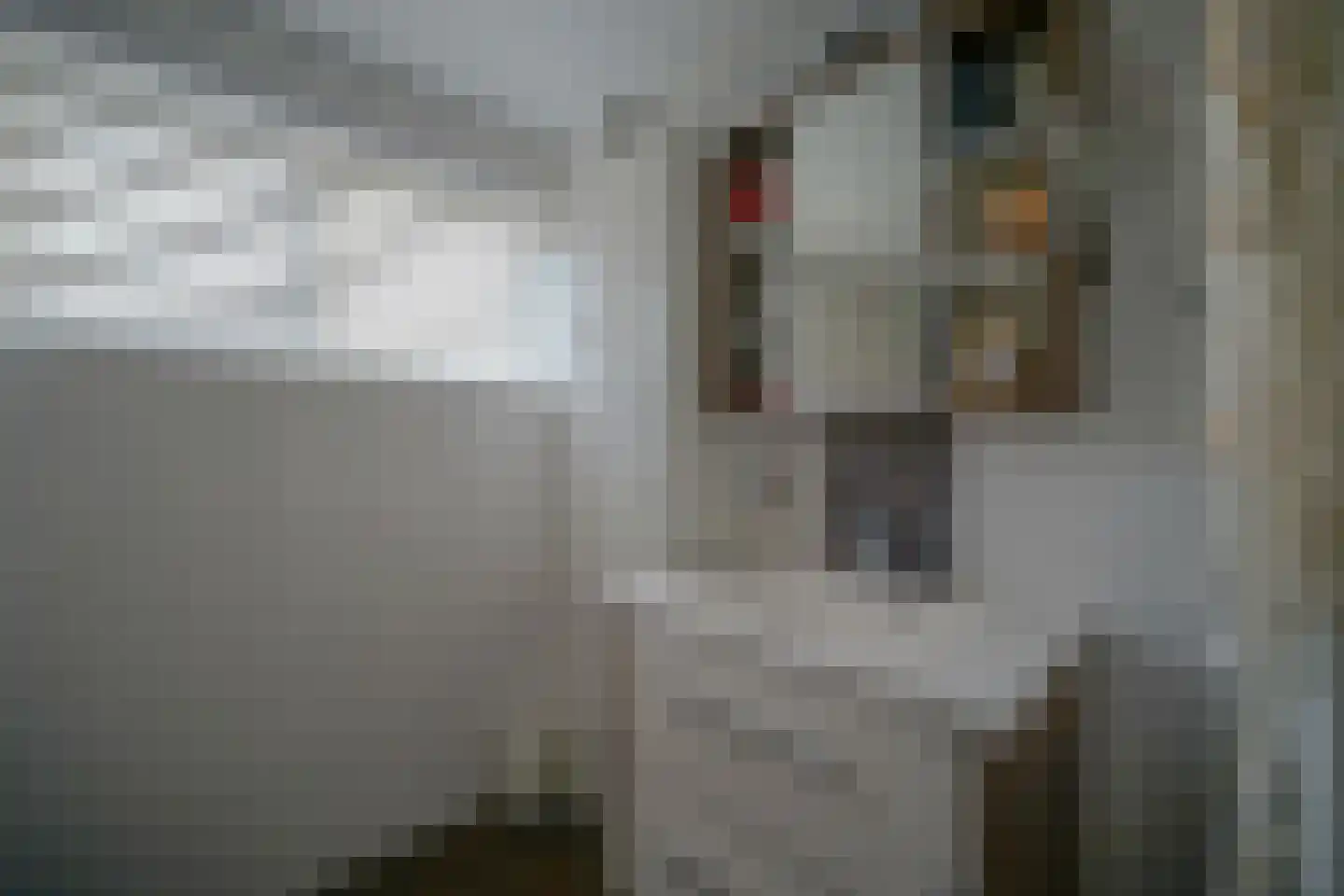 Fazantendonk 27 St. Willebrord thumbnail 62