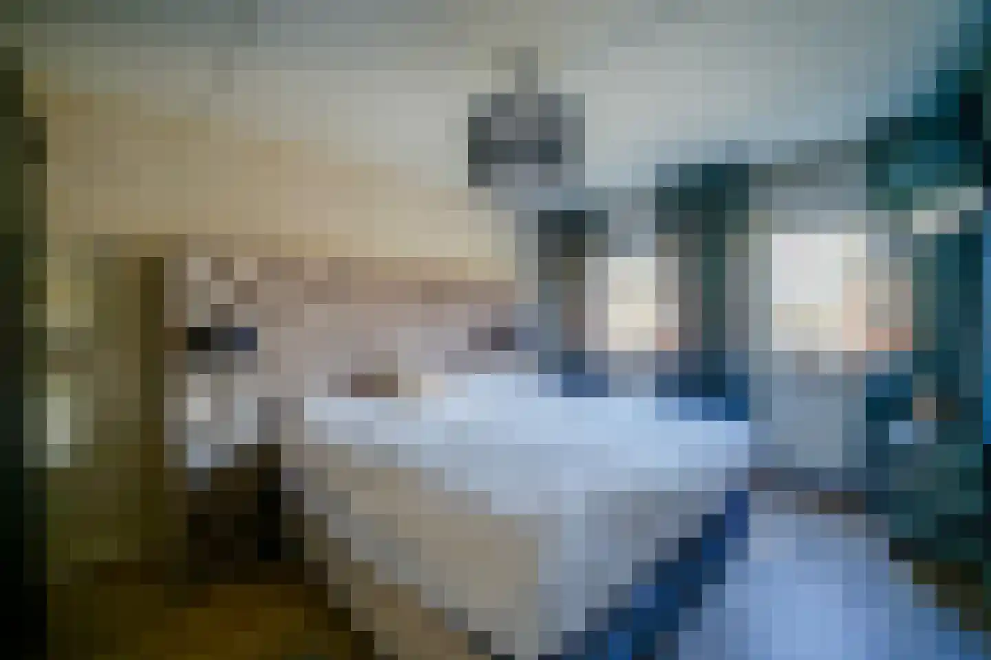 Fazantendonk 27 St. Willebrord thumbnail 67