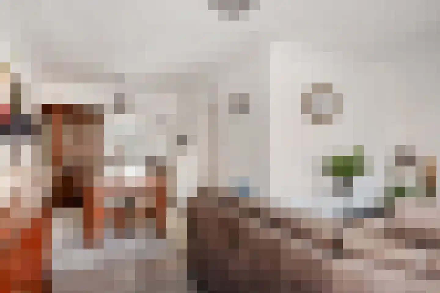 Fazantendonk 29 St. Willebrord thumbnail 16