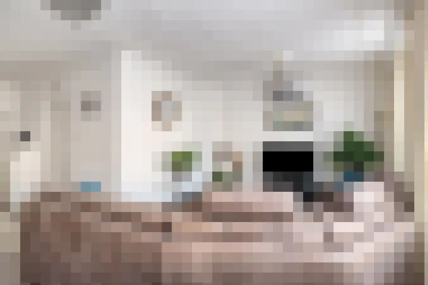 Fazantendonk 29 St. Willebrord thumbnail 17