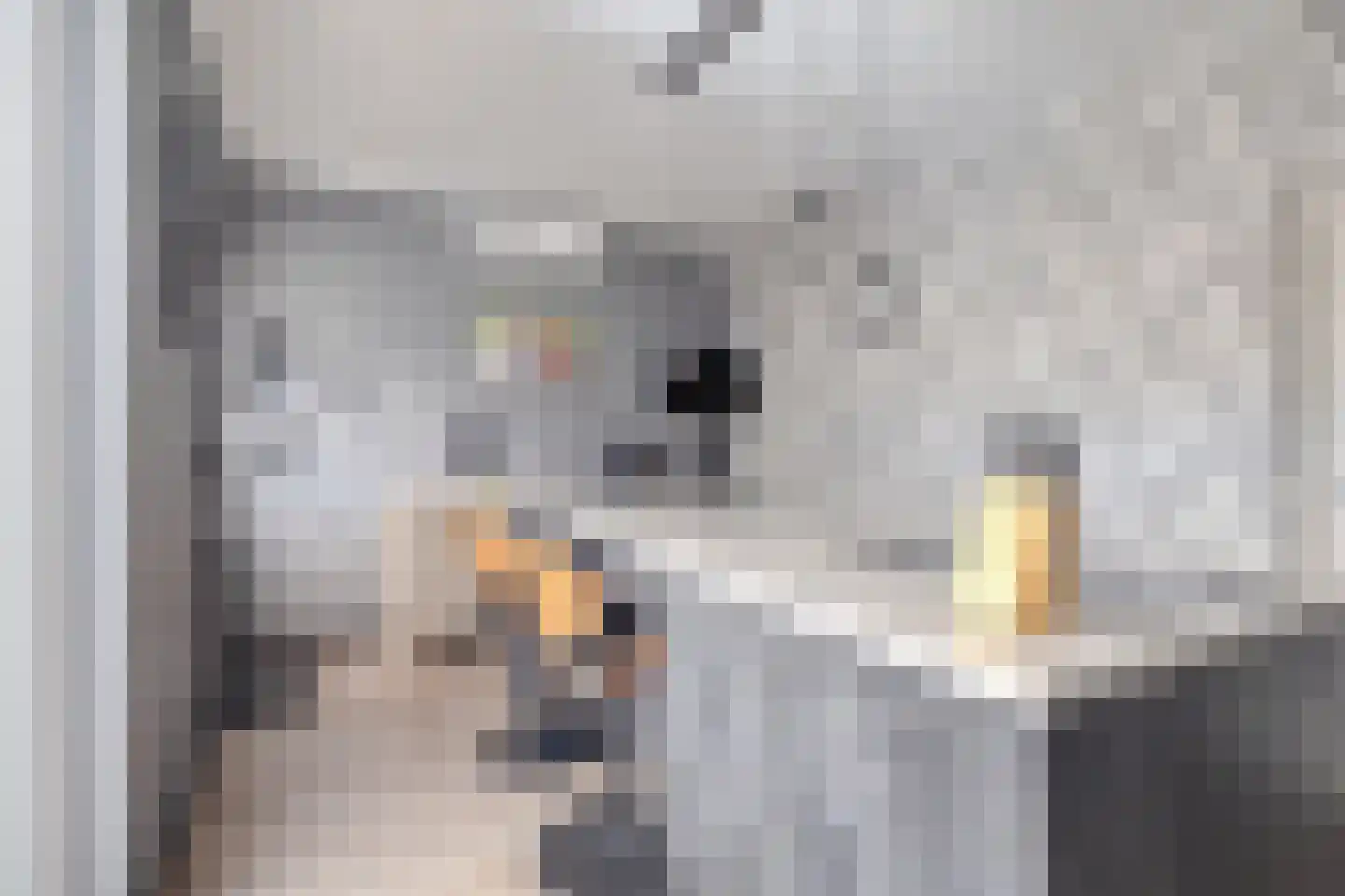 Fazantendonk 29 St. Willebrord thumbnail 22